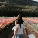 Profile Picture of Blake Cormier (@blakecormier397) on Instagram