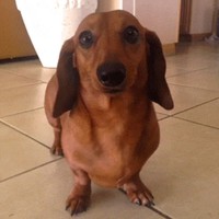 Julio Loera - Quora Profile Picture of Julio Loera (@julio-loera-3) on Quora