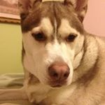 Profile Picture of Phyllis Potts (@phyllispotts) on Instagram