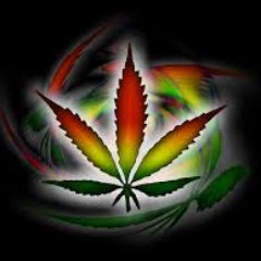 Profile Picture of James Hassell (@godeater_reaper) on Twitter