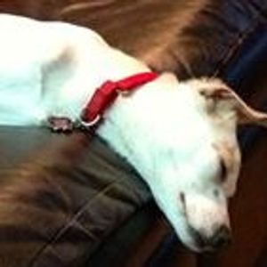 Profile Picture of Laura Bourg (@lebourg) on Myspace