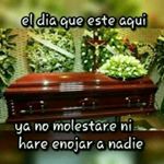 Profile Picture of Jim Benitez (@jimbenitez81) on Instagram