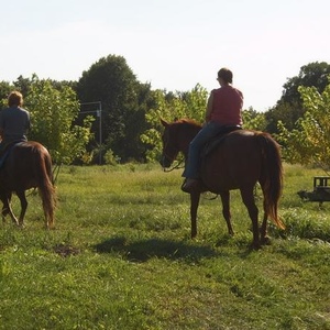 Profile Picture of Jodi Meredith (@307602677) on Myspace