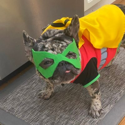 Profile Picture of Chris Vallance (@ChrisVallance7) on Twitter