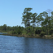 Profile Picture of Lea Cross (@leacross) on Youtube