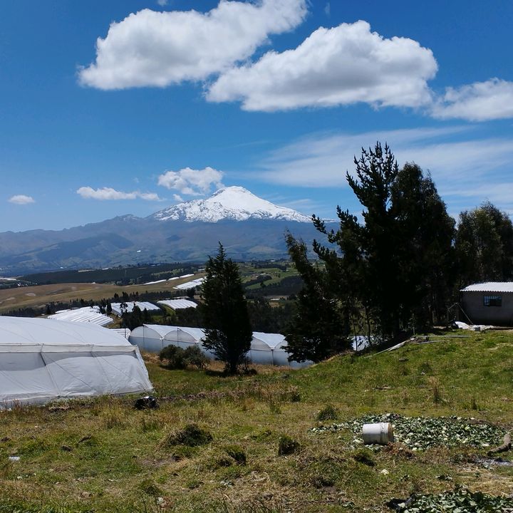 danny fee - Tiktok Profile Picture of danny fee (@dannyfeer123) on Tiktok