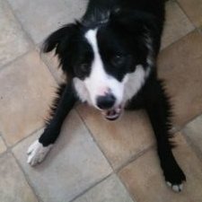 Davidreadman - Twitter Profile Picture of Davidreadman (@davidreadman) on Twitter