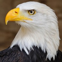 Profile Picture of Eric Eggen (@eric-eggen-1) on Quora