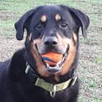 Profile Picture of Jesse Moretti (@jesse.moretti147) on Instagram