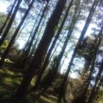 Profile Picture of Kylie tillett (@tillett_kylie) on Instagram