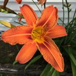 Profile Picture of Kelly Proulx (@matmel1113) on Instagram