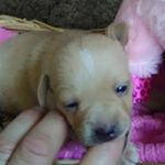 Profile Picture of Dawn Albritton (@dawn.albritton.161) on Instagram