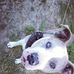 Profile Picture of Megan Harrell (@megan.harrell.3367) on Facebook
