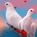 Profile Picture of Asuo Derrick (@asuo.derrick.2025) on Facebook