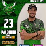 Profile Picture of DAVID PALOMINO (MINO) (@minopalomino) on Instagram