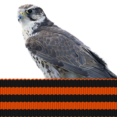 Profile Picture of Vineyard Saker (@VineyardSaker) on Twitter