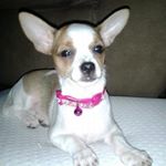 Profile Picture of Marlene Barrera (@barrera_marlene) on Instagram