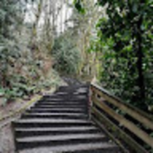 Profile Picture of Hilary Pérez (@hilyurzuap47) on Poshmark