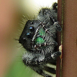 Brittany Michaud - Flickr Profile Picture of Brittany Michaud (@bmichaudphotos) on Flickr