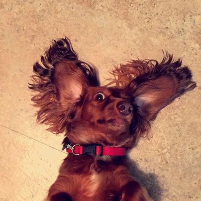 Profile Picture of Bryan Waldrop (@bf_waldo) on Twitter