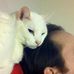 Profile Picture of Mark Wooster (@mark.wooster.169) on Facebook