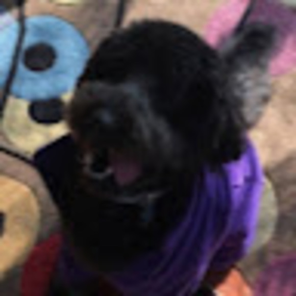 Profile Picture of William Kickert (@willykickert) on Poshmark