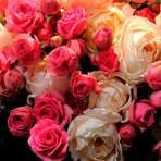 Profile Picture of Craig Casperson (@craig.casperson.9) on Facebook