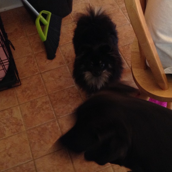 Profile Picture of Denise Hulsen (@denise212) on Poshmark