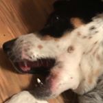 Profile Picture of Jacob Dew (@dew_jacob) on Instagram