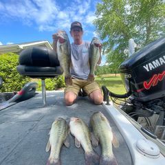 Profile Picture of jonathanbickley4 (@jonathanbickley4) on Tiktok