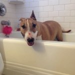 Profile Picture of Josie Thompson (@josieethompson) on Instagram