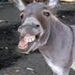 Profile Picture of Colby Branch (@2003frankle) on Pinterest