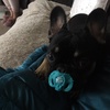 Profile Picture of Tracey🐙 (@tracey.stone14) on Tiktok