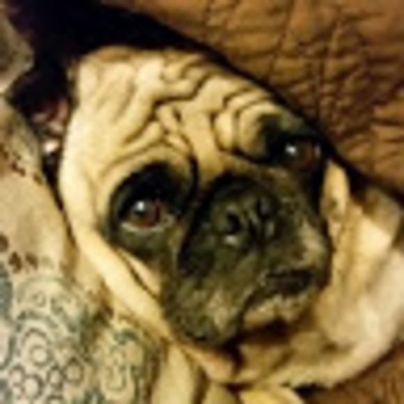 Profile Picture of Alexandria Tidwell (@alexntidwell) on Poshmark