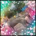 Profile Picture of Thirukumar (@thirukumar.thirukumar.397501) on Facebook