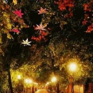 Рано Давлетова - Facebook Profile Picture of Рано Давлетова (@&) on Facebook