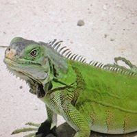 Profile Picture of David Byerley (@david-byerley-1) on Quora