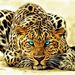 Profile Picture of Joyce Andrews Gilmore (@andrewsgilmore) on Pinterest