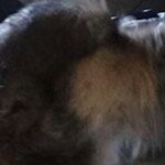 Profile Picture of Lori Hymowitz (@loprilopez1972) on Instagram