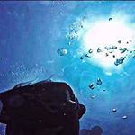 Antonio - Instagram Profile Picture of Antonio (@romanelli_antonio_) on Instagram