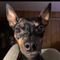 Profile Picture of Ruth Haines Keiber (@ruth.keiber) on Facebook