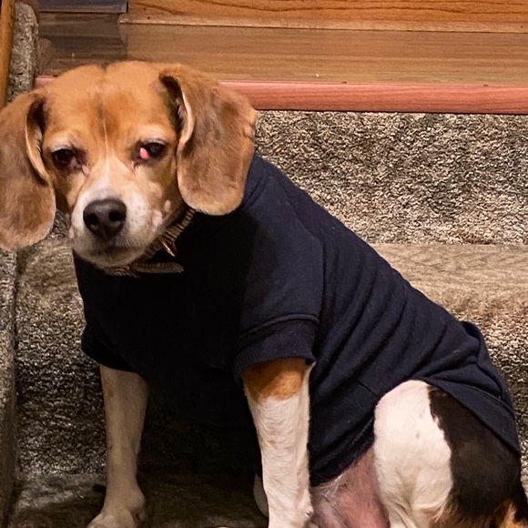 Profile Picture of Tim Hoffman (@thoffman0520) on Poshmark