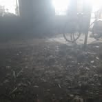 Profile Picture of Paul Singh (@Paul-Singh) on Facebook