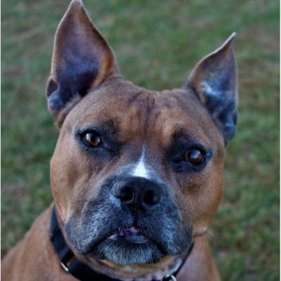 Profile Picture of Jim Roeder (@roeder_jim) on Twitter