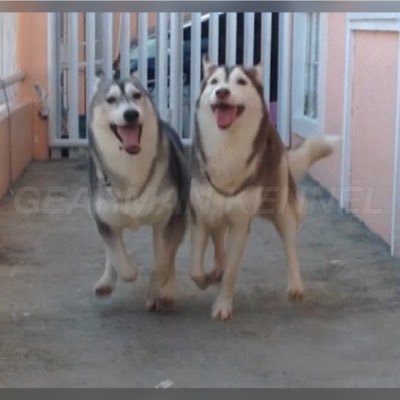 Profile Picture of Kendra Khloe Dylan (@AlicePerez53) on Twitter