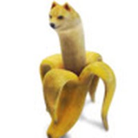 Profile Picture of 2023 Stephen Jenny (@2023-stephen-jenny) on Quora