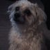 Profile Picture of Barbara Harner (@barbara.harner1) on Facebook