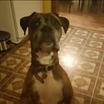 Profile Picture of Cathy Kiger (@Cathy-Kiger) on Facebook