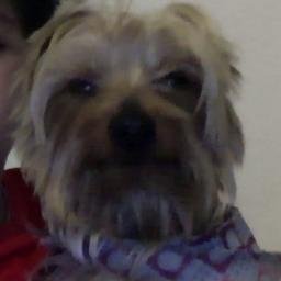 Profile Picture of David Flores Martine (@DavidF_davod10) on Twitter