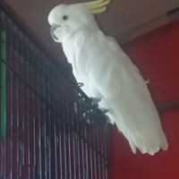 Profile Picture of Tanya Huffman (@tanya-huffman-1) on Quora